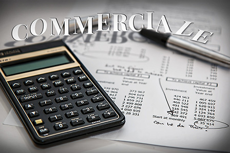 commerciale Consulenza legale