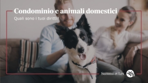 Coppia con il loro cane durante un momento di relax in casa. Diritti dei proprietari di animali in condominio