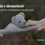 Eredita-e-donazioni-come-prevenire-contestazioni-tra-gli-eredi-Copertina